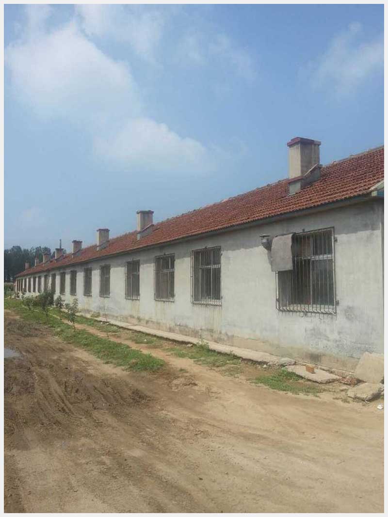 86̖(ho) Ж|(zhn)|Ĵ巿a(chn)ʹÙ(qun)