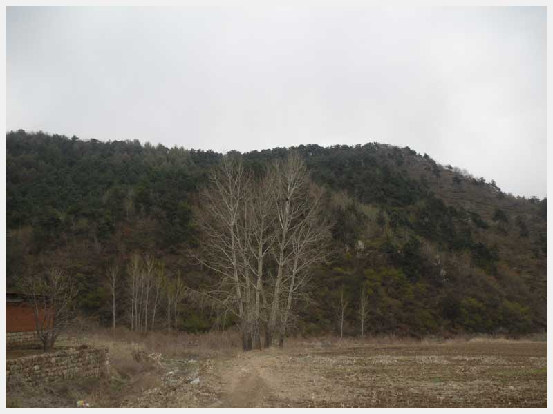 12̖(ho)  н(zhn)μҴ